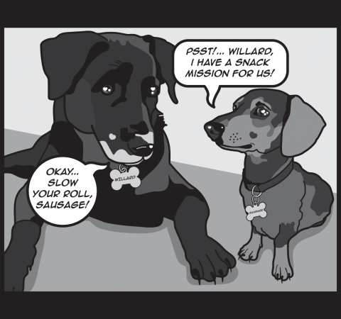 Willared and Sausage